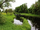 Sklypai šalia Nevėžio upės, liko 5 sklypai. - nuotraukos Nr. 11