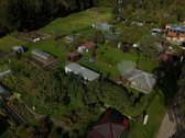 Parduodamas 6a sodo sklypas su mediniu - nuotraukos Nr. 2