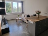 Parduodamas 2020 m. statybos, praktiškai - nuotraukos Nr. 2