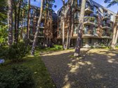 Išskirtinė Prabanga Ir Ramybė Kurorto Širdyje - nuotraukos Nr. 14