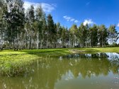 100 Beržų  66,20 A Rekreacinis Sklypas Su - nuotraukos Nr. 2