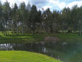 100 Beržų  66,20 A Rekreacinis Sklypas Su - nuotraukos Nr. 8