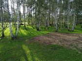 100 Beržų  66,20 A Rekreacinis Sklypas Su - nuotraukos Nr. 10