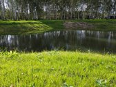 100 Beržų  66,20 A Rekreacinis Sklypas Su - nuotraukos Nr. 12