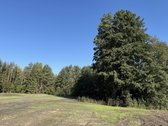 Parduodami Trys Sklypai Altoniškiuose – Namų - nuotraukos Nr. 22