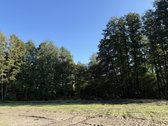 Parduodami Trys Sklypai Altoniškiuose – Namų - nuotraukos Nr. 17