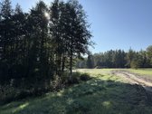 Parduodami Trys Sklypai Altoniškiuose – Namų - nuotraukos Nr. 12