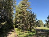 Parduodami Trys Sklypai Altoniškiuose – Namų - nuotraukos Nr. 13