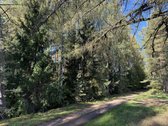 Parduodami Trys Sklypai Altoniškiuose – Namų - nuotraukos Nr. 15