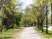 Parduodamas 1 kambario butas Pašilaičiuose, - nuotraukos Nr. 25
