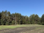 Parduodami Trys Sklypai Altoniškiuose – Namų - nuotraukos Nr. 8