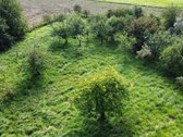Erdvus 47,27 A Sklypas Su Namu, Tvenkiniu Ir - nuotraukos Nr. 7