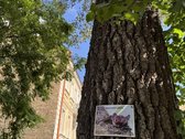 1 Kambario Butas Šopeno G. 3 – Galimybė - nuotraukos Nr. 18