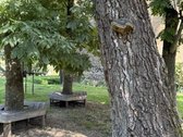 1 Kambario Butas Šopeno G. 3 – Galimybė - nuotraukos Nr. 19