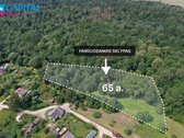 Parduodamas Išskirtinis 64,94 a Namų Valdos - nuotraukos Nr. 3
