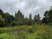 Parduodma žemės sklypo dalis Pylimėlių g. 23 - nuotraukos Nr. 2