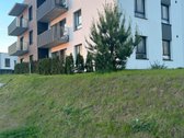 Išnuomojamas Šviesus Naujai Įrengtas 4 - nuotraukos Nr. 5