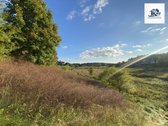 Parduodamas 26 Aro Sklypas Paluknyje Su 3 - nuotraukos Nr. 12