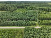 Parduodamas 1,04 ha miško paskirties sklypas.  - nuotraukos Nr. 2