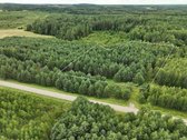 Parduodamas 1,04 ha miško paskirties sklypas.  - nuotraukos Nr. 3
