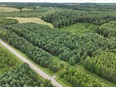 Parduodamas 1,04 ha miško paskirties sklypas.  - nuotraukos Nr. 4