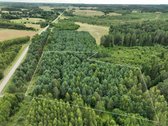 Parduodamas 1,04 ha miško paskirties sklypas.  - nuotraukos Nr. 5