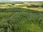 Parduodamas 1,04 ha miško paskirties sklypas.  - nuotraukos Nr. 6