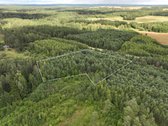 Parduodamas 1,04 ha miško paskirties sklypas.  - nuotraukos Nr. 7