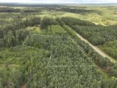 Parduodamas 1,04 ha miško paskirties sklypas.  - nuotraukos Nr. 8