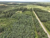 Parduodamas 1,04 ha miško paskirties sklypas.  - nuotraukos Nr. 9