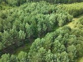 Parduodamas 1,04 ha miško paskirties sklypas.  - nuotraukos Nr. 11