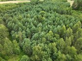 Parduodamas 1,04 ha miško paskirties sklypas.  - nuotraukos Nr. 12
