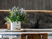 Vieno Aukšto 4 Kambarių Namas Kretingoje – - nuotraukos Nr. 7