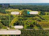 Unikalioje Vietoje, Apsuptoje Miškų Ir - nuotraukos Nr. 5