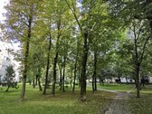 Parduodamas erdvus 4 kambarių butas Savanorių - nuotraukos Nr. 4