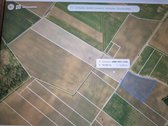 Nuomojami žemės ūkio paskirties žemės sklypai - nuotraukos Nr. 7