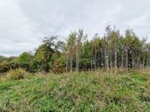 Molėtų Rajone, Tarp Asvejos Ir Labanoro - nuotraukos Nr. 12