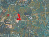 Molėtų Rajone, Tarp Asvejos Ir Labanoro - nuotraukos Nr. 14