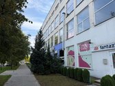 Išnuomojamos sporto paskirties patalpos - nuotraukos Nr. 7