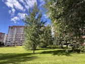 Parduodamas Jaukus 2 Kambarių Butas Su Holu - nuotraukos Nr. 22