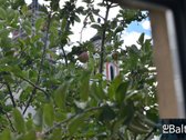 Stilingas ir jaukus keturių kambarių butas - nuotraukos Nr. 5