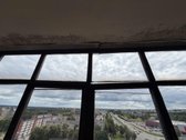 Alytaus m. sav., Alytaus m., Putinai - nuotraukos Nr. 3