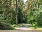 Kaina 243 800 Eur + PVM. - nuotraukos Nr. 18