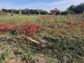 9,79 arai namų valdos (dvibutė) labai - nuotraukos Nr. 7
