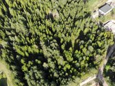 53 Arai Žalumos Jūsų Naujai Pradžiai - nuotraukos Nr. 3