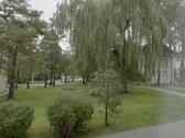 3 kambarių butas Dvarčionyse: ežeras, miškas - nuotraukos Nr. 9