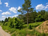 53 Arai Žalumos Jūsų Naujai Pradžiai - nuotraukos Nr. 8