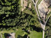 53 Arai Žalumos Jūsų Naujai Pradžiai - nuotraukos Nr. 11
