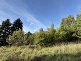 53 Arai Žalumos Jūsų Naujai Pradžiai - nuotraukos Nr. 14