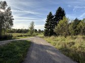 53 Arai Žalumos Jūsų Naujai Pradžiai - nuotraukos Nr. 15